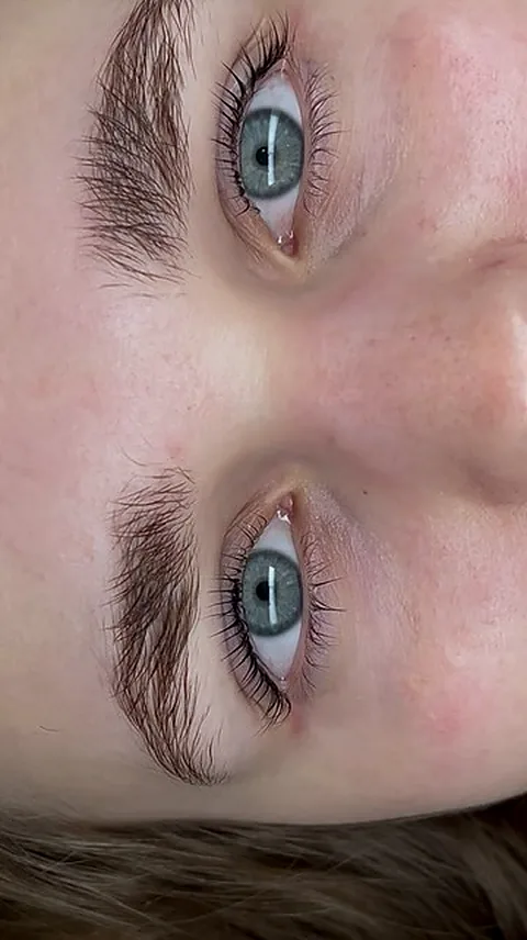 Detailaufnahme frisch gestalteter Brauen
